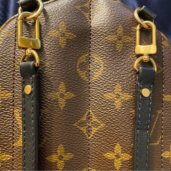 Louis Vuitton Palm Springs Backpack Mini Brown Canvas - Picture 5 of 15